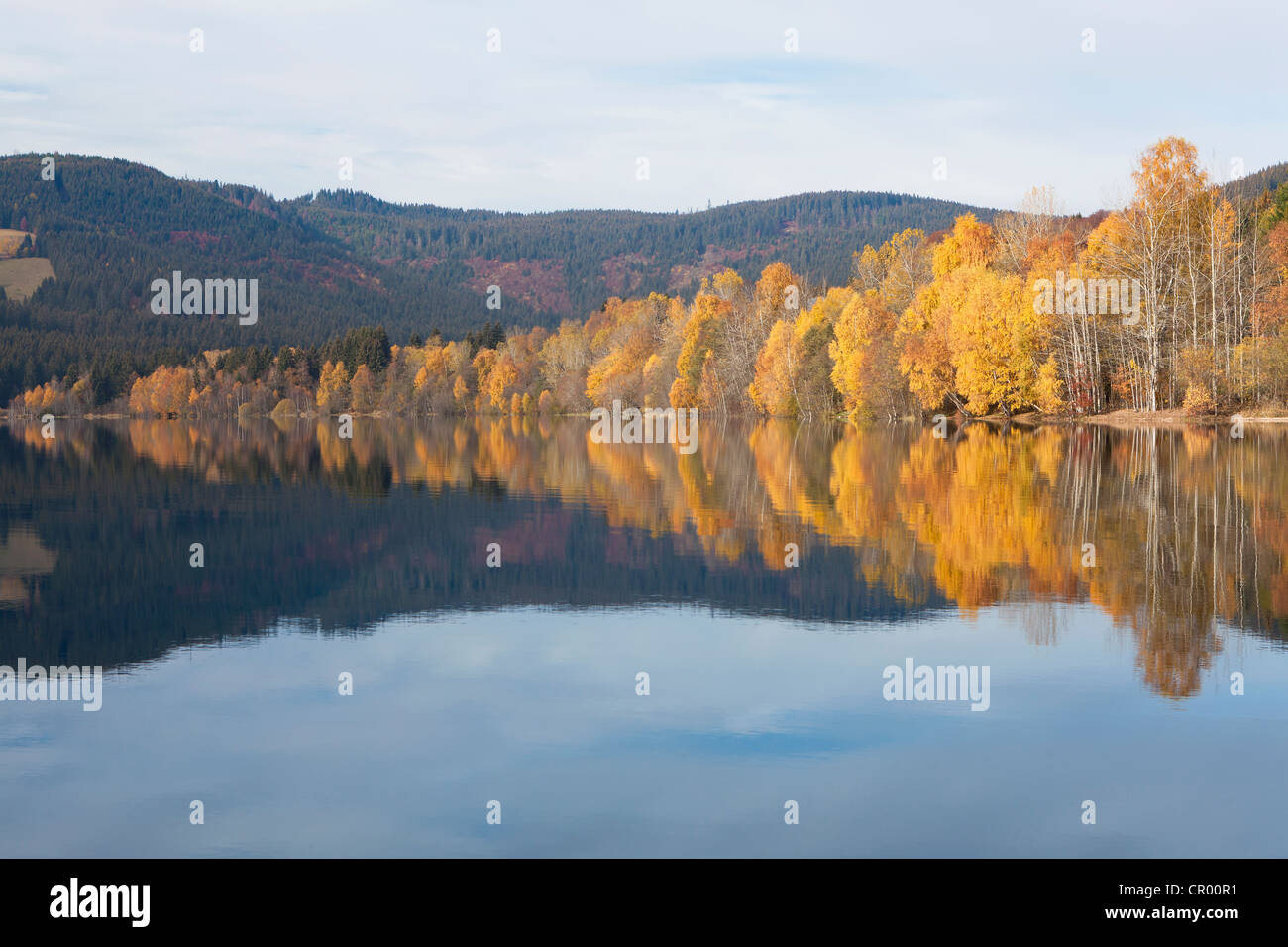 L'automne sur le lac Schluchsee dans la Forêt-Noire, Bade-Wurtemberg, Allemagne, Europe Banque D'Images