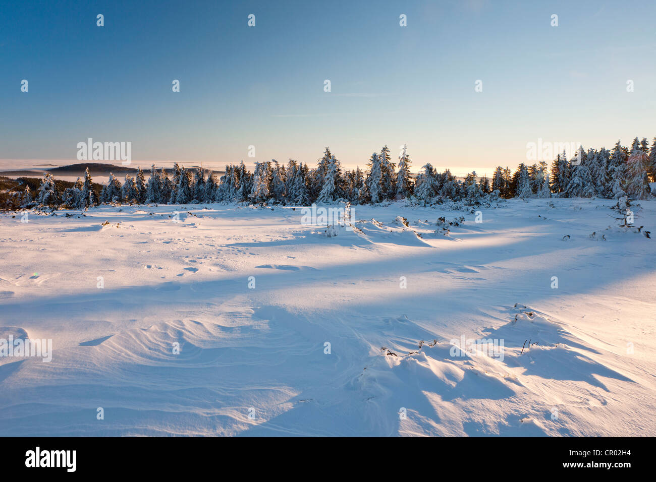 Paysage d'hiver dans le nord de la Forêt Noire, Bade-Wurtemberg, Allemagne, Europe Banque D'Images