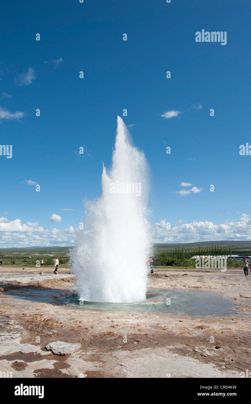 L'éruption du geyser Strokkur, Hot spring, cercle d'or, de Haukadalur, Islande, Scandinavie, Europe du Nord, Europe Banque D'Images