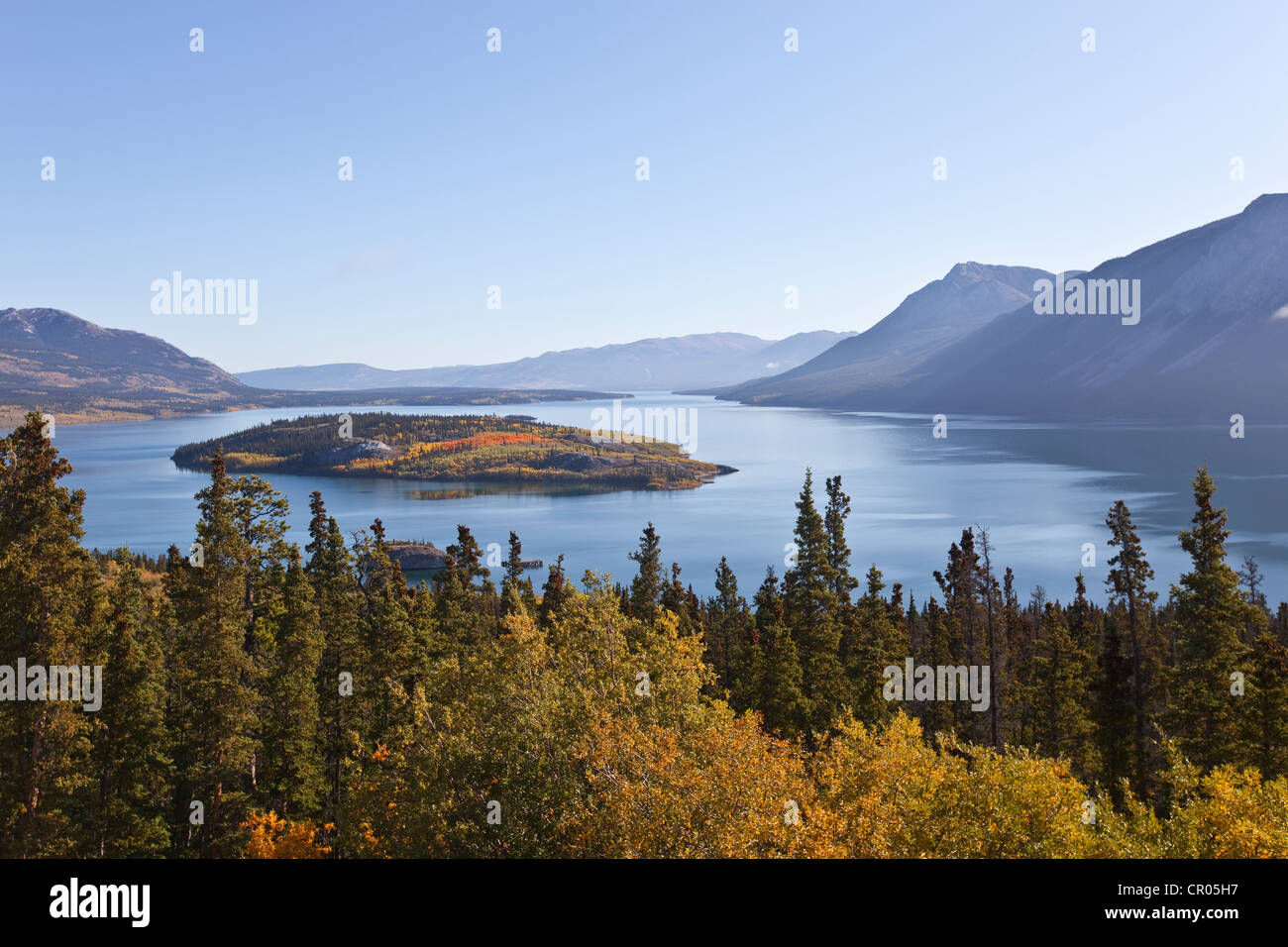 Bove Island à l'automne, l'été indien, les feuilles en couleurs d'automne, Windy Arm du lac Tagish, route du Klondike Sud, Territoire du Yukon Banque D'Images