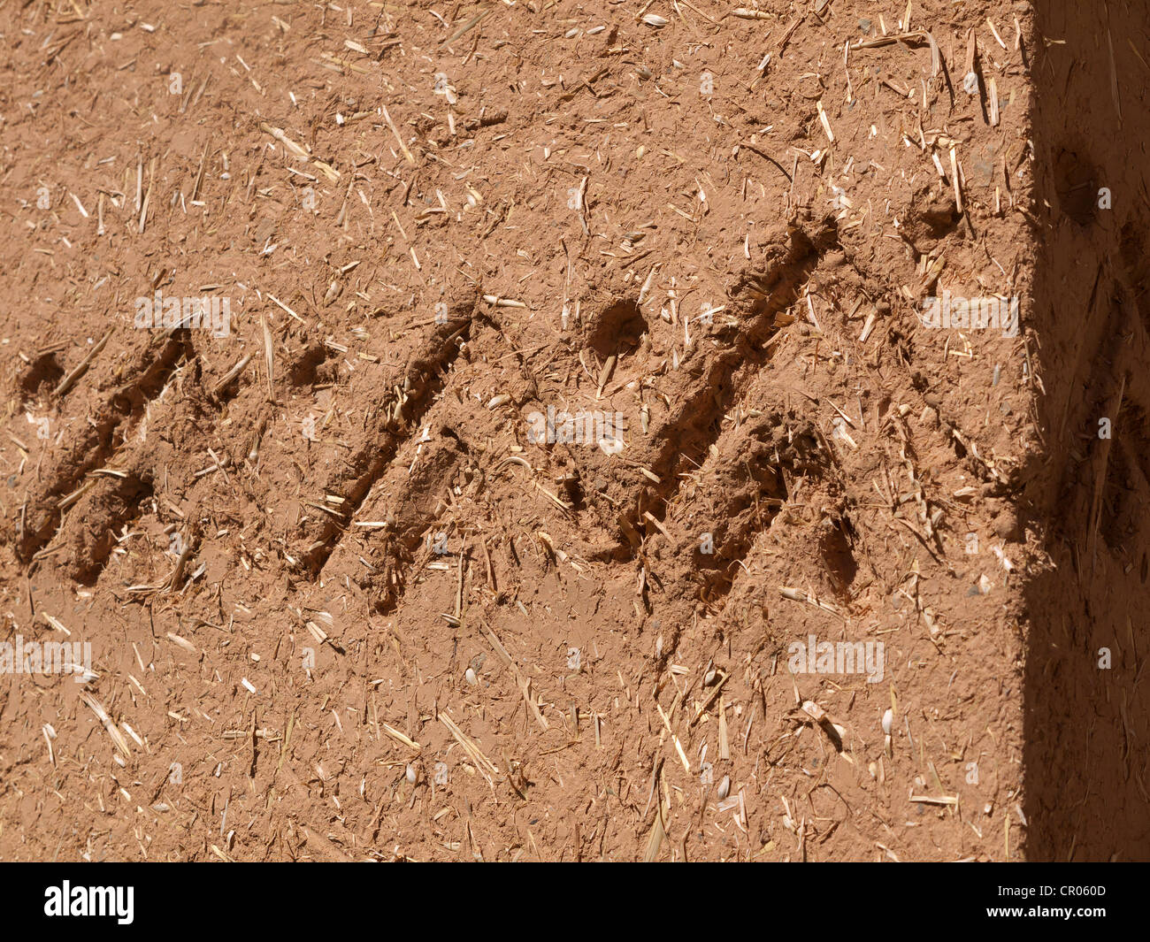Ornements typiques sur un mur de brique de boue d'une Kasbah, Maroc, Afrique du Nord, Afrique Banque D'Images