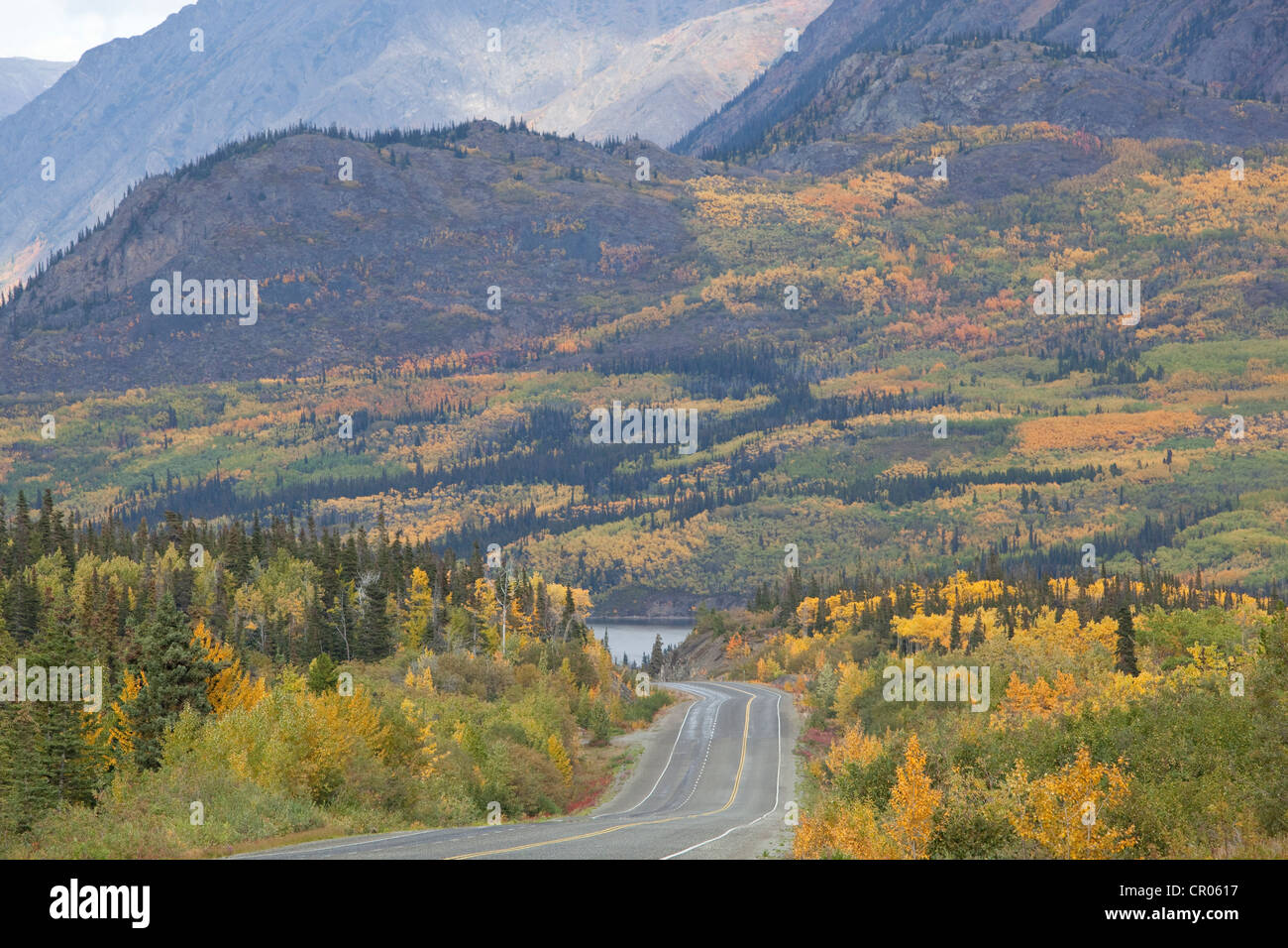 L'été indien, l'automne, col blanc, chaîne Côtière, route du Klondike sud, reliant Skagway, Alaska avec British Columbia Banque D'Images