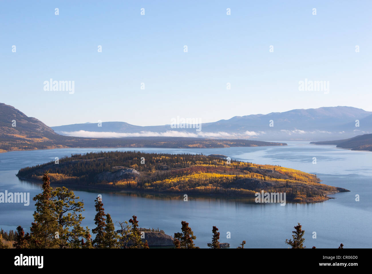 Bove Island dans l'été indien, les feuilles en couleurs d'automne, automne, Windy Arm du lac Tagish, route du Klondike Sud, Territoire du Yukon Banque D'Images