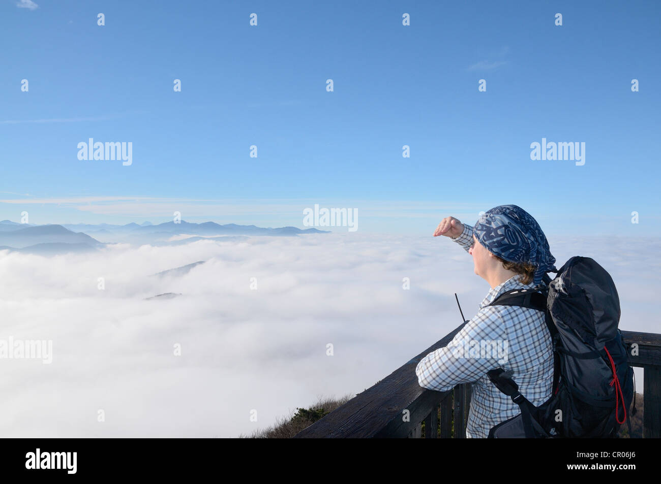 Vue depuis la tour d'observation sur la montagne de hocheck, triestingtal, Basse Autriche, Autriche, Europe Banque D'Images