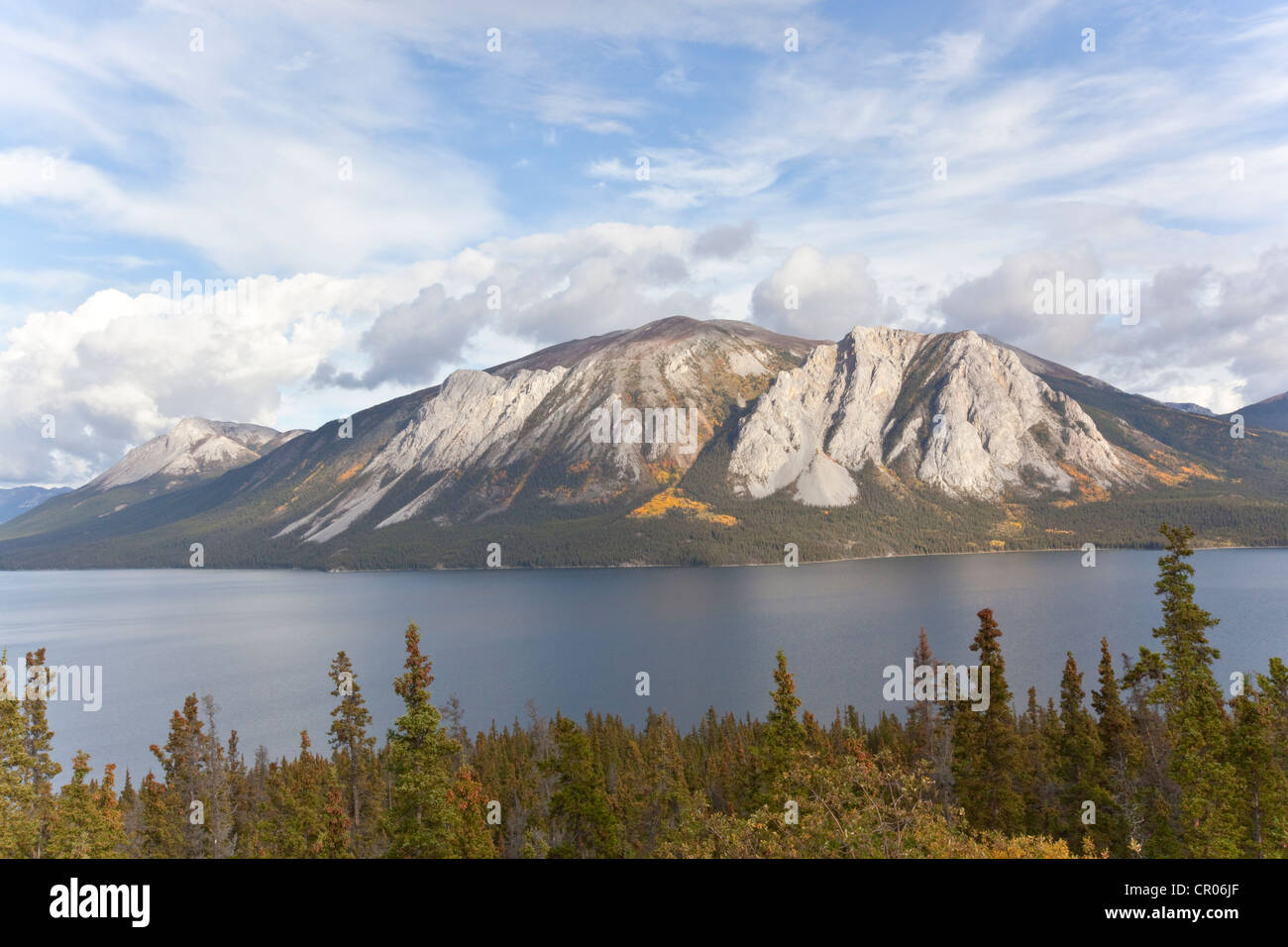 À la montagne Windy Arm du lac Tagish, l'été indien, les feuilles en couleurs d'automne, automne, route du Klondike Sud, Territoire du Yukon Banque D'Images
