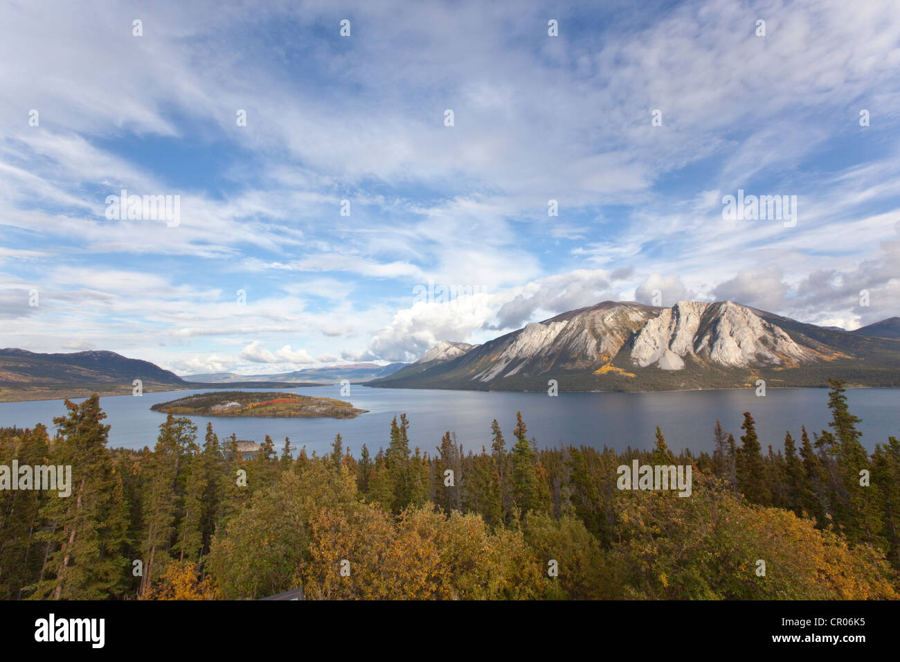 Bove Island dans l'été indien, les feuilles en couleurs d'automne, automne, Windy Arm du lac Tagish, route du Klondike Sud, Territoire du Yukon Banque D'Images