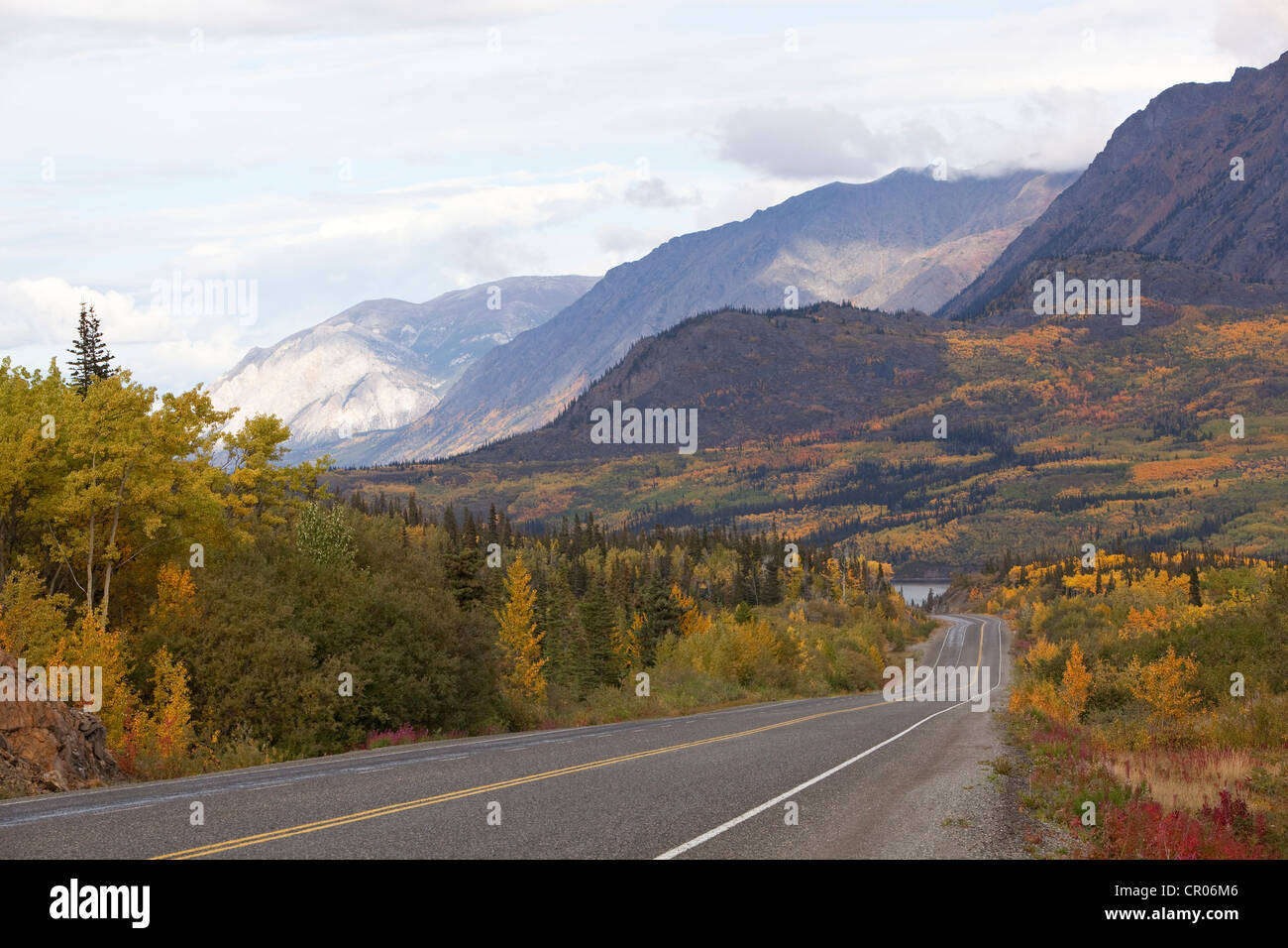 Route du Klondike sud, l'été indien, les feuilles en couleurs d'automne, automne, col blanc, derrière le lac Tagish (Territoire du Yukon, Canada Banque D'Images