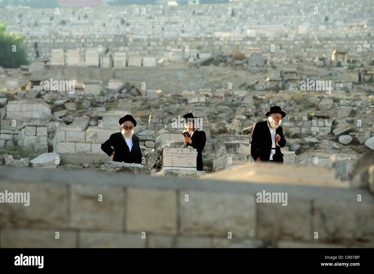 Israël, Jérusalem, ville sainte, les juifs hassidiques (Chabad Lubavitch branc) dans le cimetière du Mont des Oliviers Banque D'Images