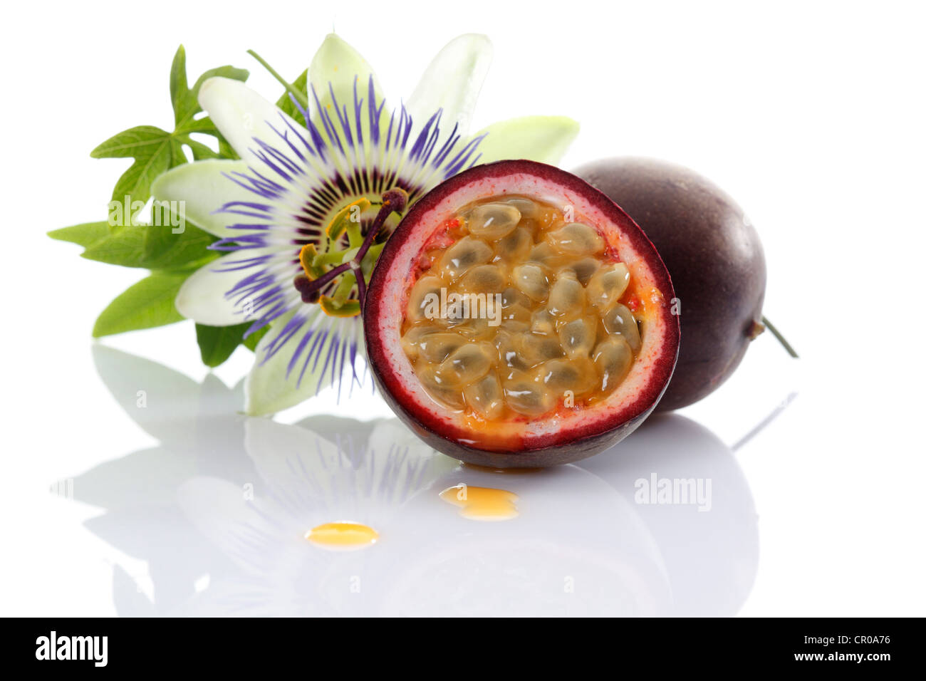 Passiflora x flavicarpa / Fruit de la passion / Grenadille