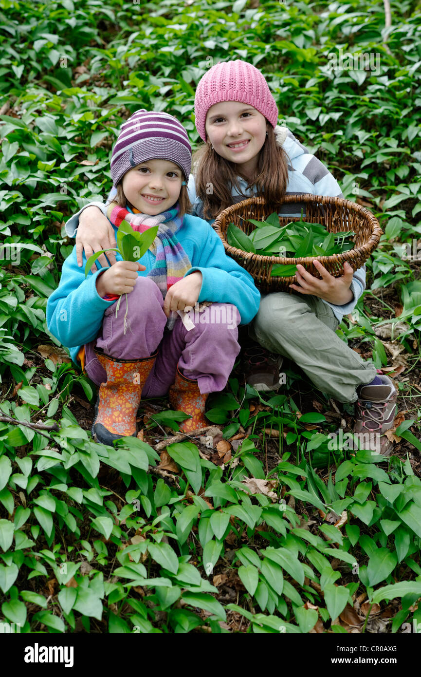 Deux jeunes filles choisir Ramsons ou l'ail des ours (Allium ursinum) Banque D'Images