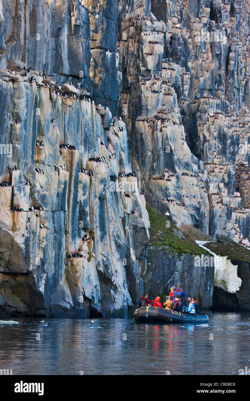 Les touristes en zodiac watch colonie d'oiseaux à Alkefjellet, Spitzberg, Norvège Banque D'Images Les touristes en zodiac watch colonie d'oiseaux à Alkefjellet, Spitzberg, Norvège Banque D'Images