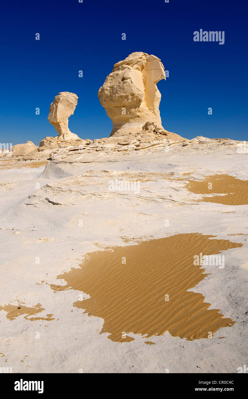 L'Egypte, Désert de Libye, Farafra, White Desert National Park Banque D'Images