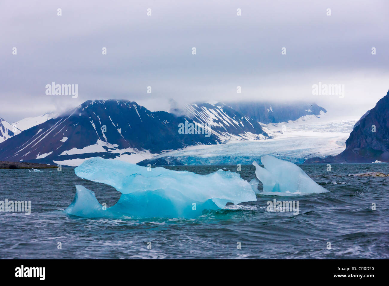 La glace flottante dans Hornsund, plus au sud du Spitzberg, Norvège fjord Banque D'Images