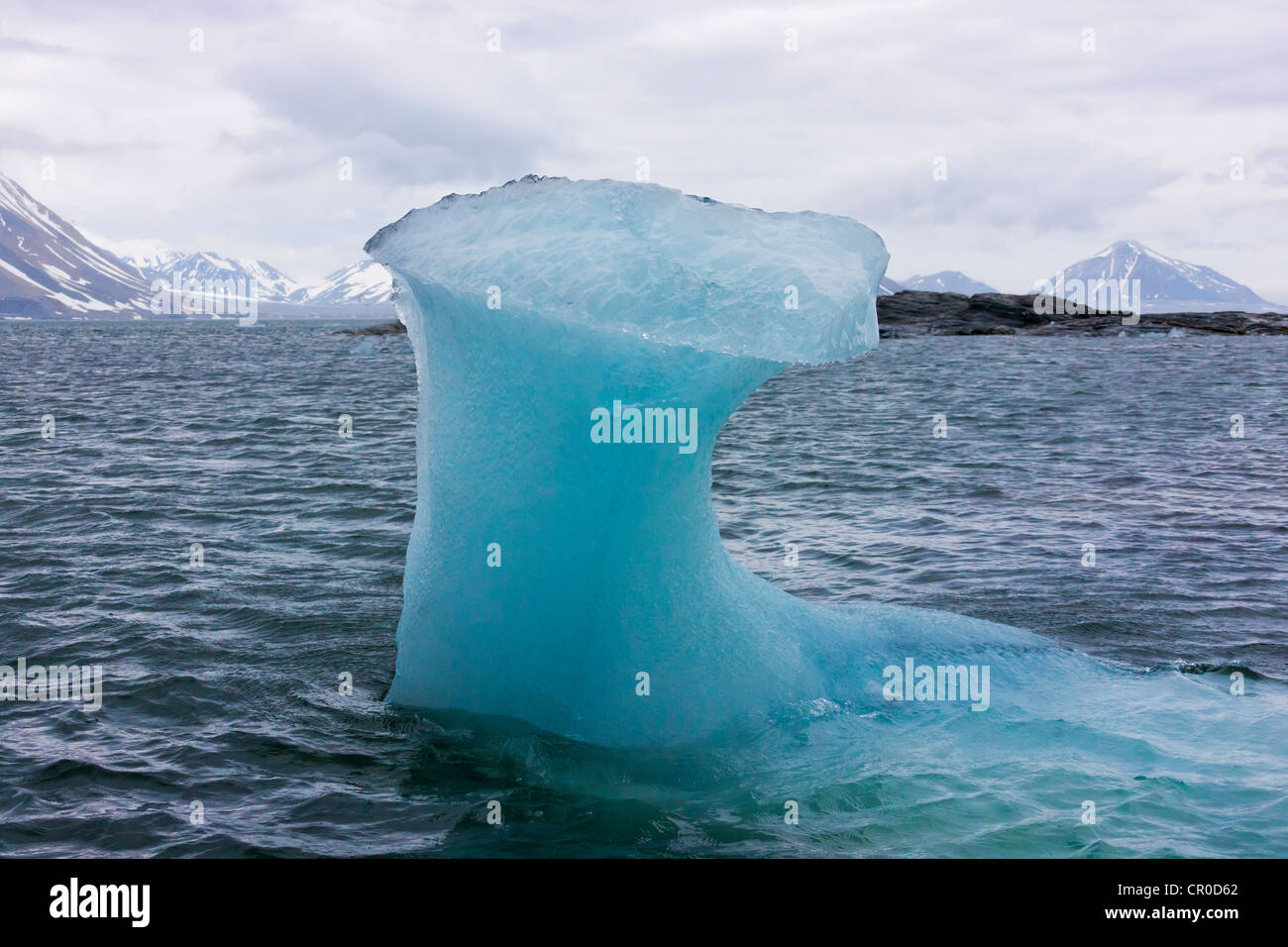 La glace flottante dans l'océan Arctique, Hornsund, plus au sud du Spitzberg, Norvège fjord Banque D'Images