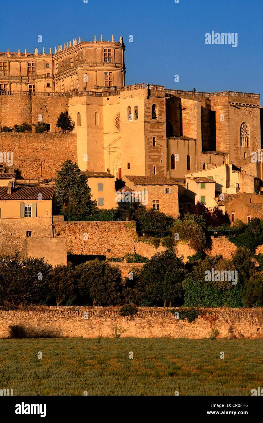 France, Drôme, village de Grignan avec le Château et collégiale Banque D'Images