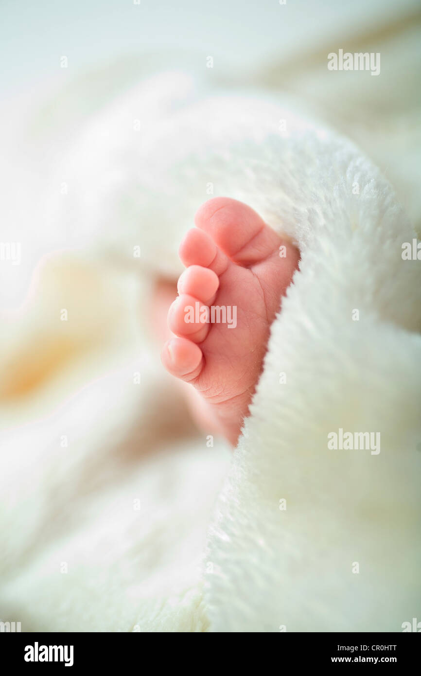 Pied d'un bébé, 1 mois Banque D'Images