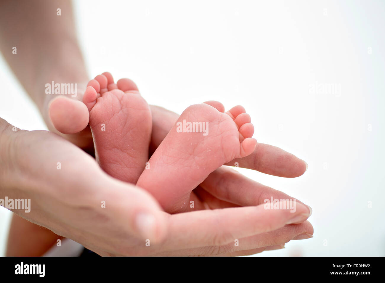 Mains d'un adulte possédant les pieds d'un bébé, 1 mois Banque D'Images