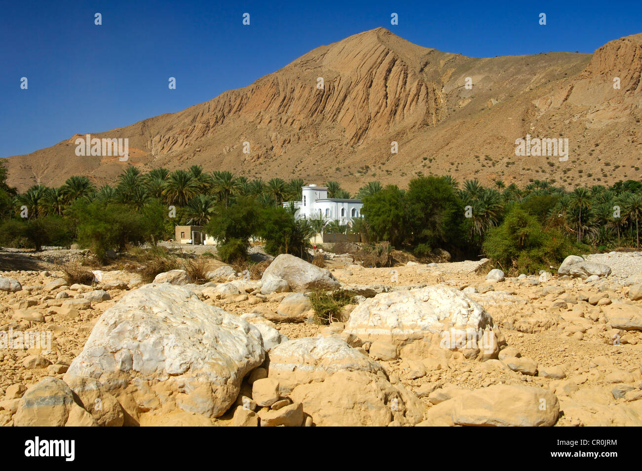 Villa dans une oasis au pied d'une montagne aride à Birkat al Mawz, Sultanat d'Oman, au Moyen-Orient Banque D'Images