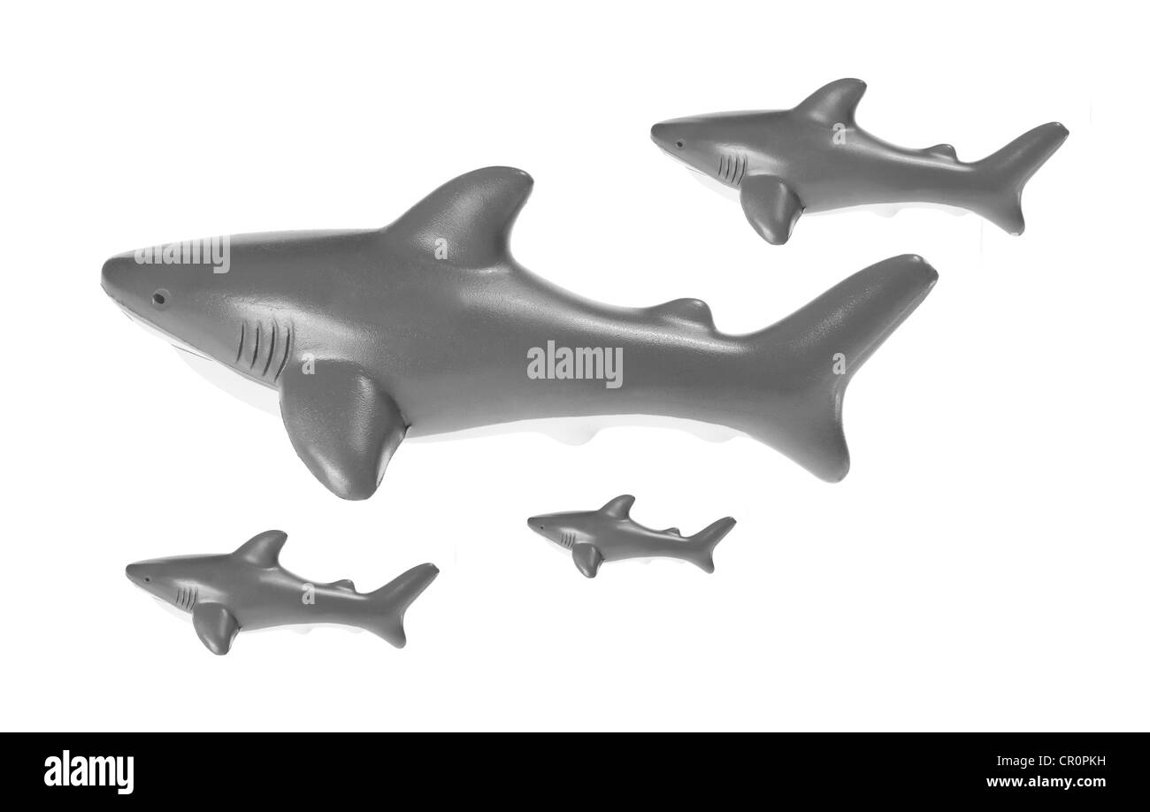 Requins de jouet Banque D'Images
