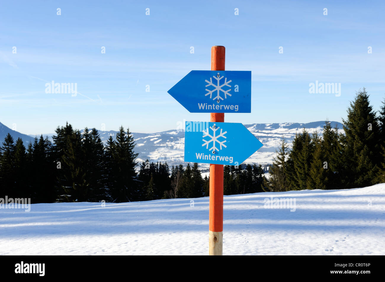 Les panneaux pour un sentier d'hiver, panorama marche sur Mt. Gruenten, Upper Swabia, Allgaeu, Bavaria, Germany, Europe Banque D'Images