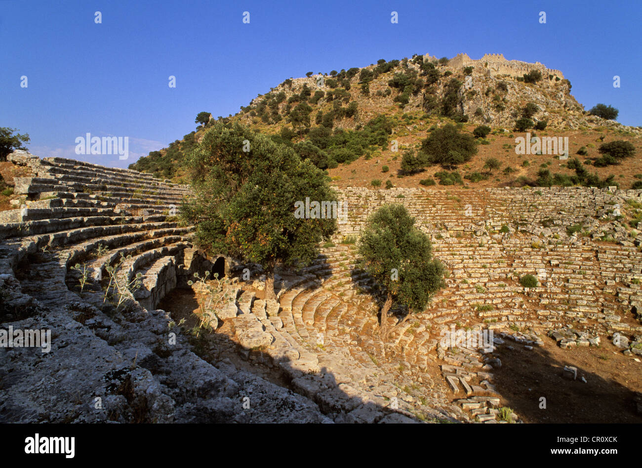 La Turquie, Méditerranée, côte lycienne, Province de Mugla, Dalyan, ville ancienne, Kaunos Theatre et oliviers Banque D'Images