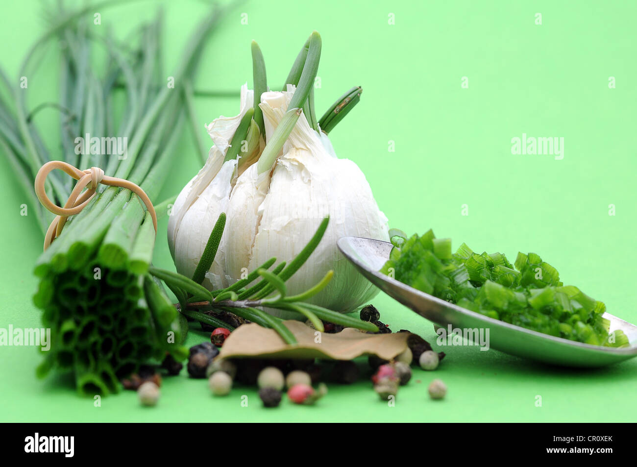 Les herbes et épices, la ciboulette, l'ail, le romarin, le poivre, la feuille de laurier Banque D'Images