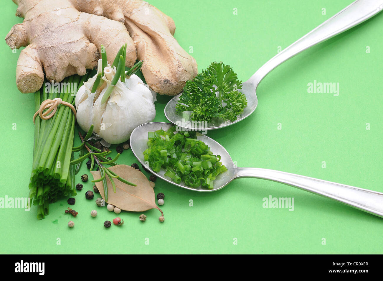 Les herbes et épices, le gingembre, la ciboulette, l'ail, romarin, persil, poivre, laurier Banque D'Images