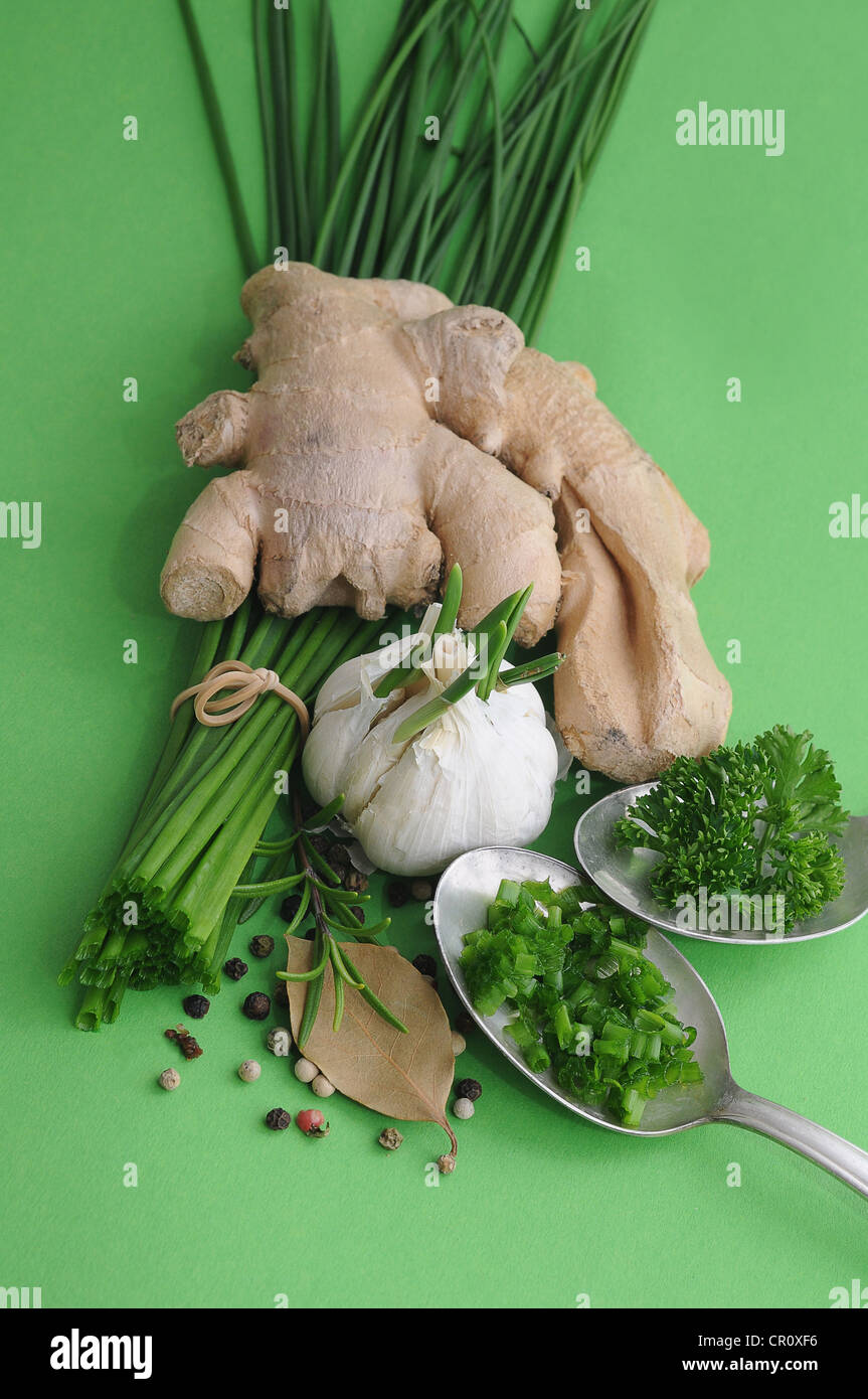 Les herbes et épices, le gingembre, la ciboulette, l'ail, romarin, persil, poivre, laurier Banque D'Images