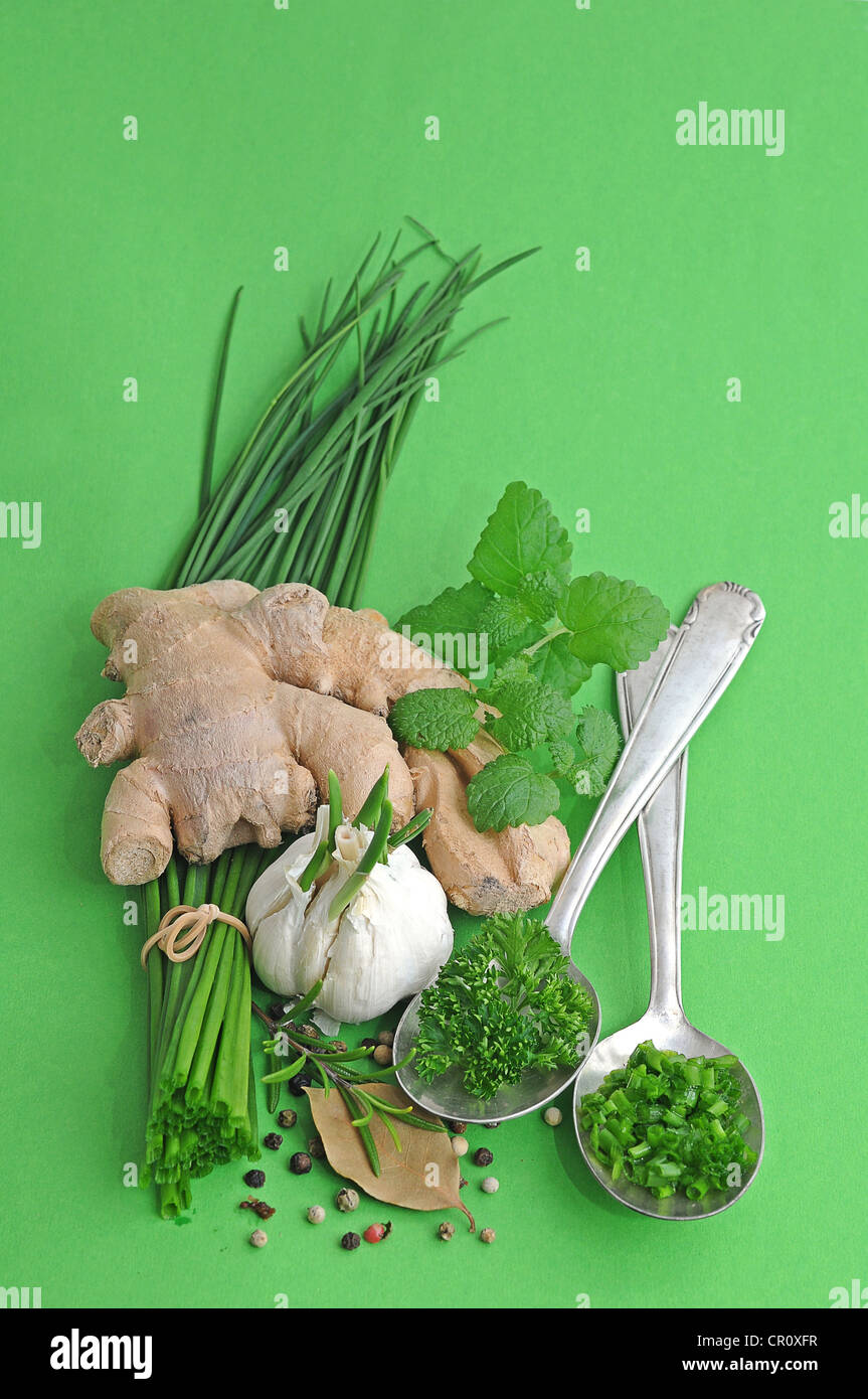 Les herbes et épices, le gingembre, la ciboulette, l'ail, romarin, persil, poivre, laurier, menthe Banque D'Images