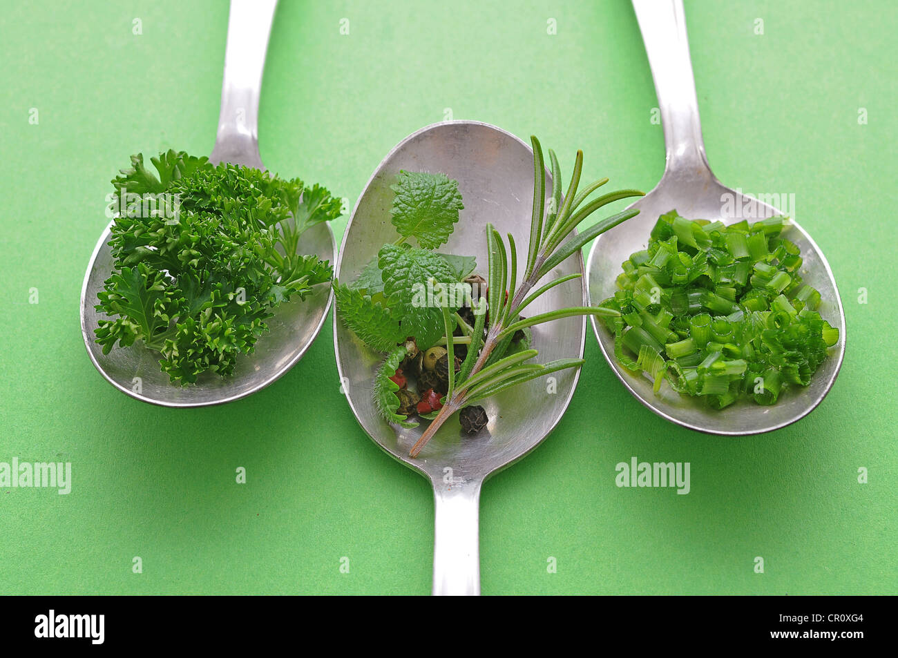 Les herbes et épices sur de vieilles cuillères, ciboulette, romarin, persil, poivre, menthe Banque D'Images