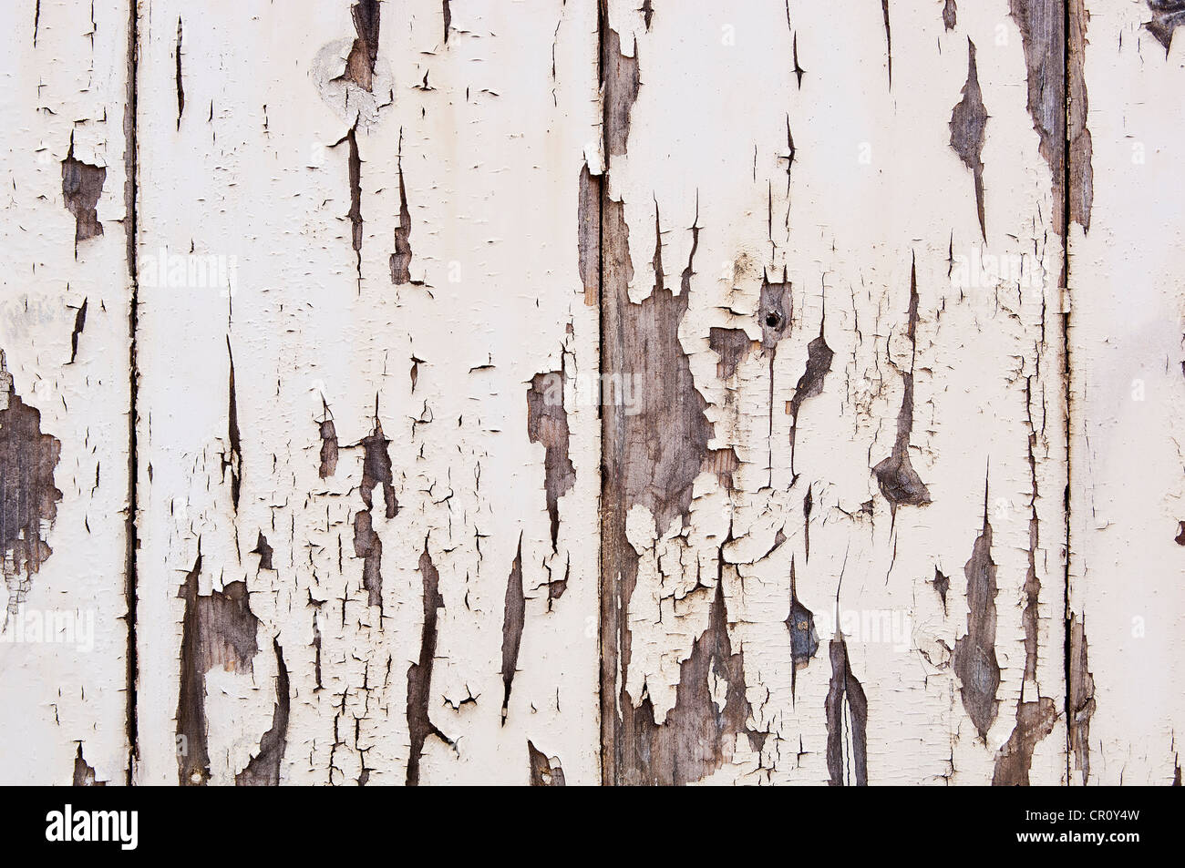 La peinture s'écaille par panneaux de bois en détail Banque D'Images