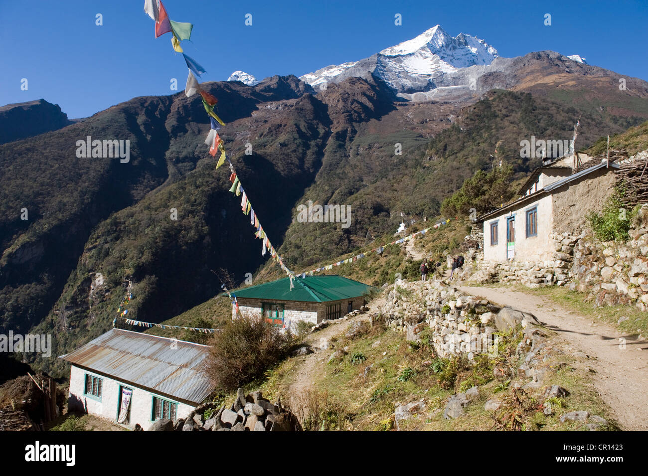 Le Népal, parc national de Sagarmatha, District de Solu Khumbu Everest, salon, chemin entre Namche Bazar et Thamo (3493m) Banque D'Images
