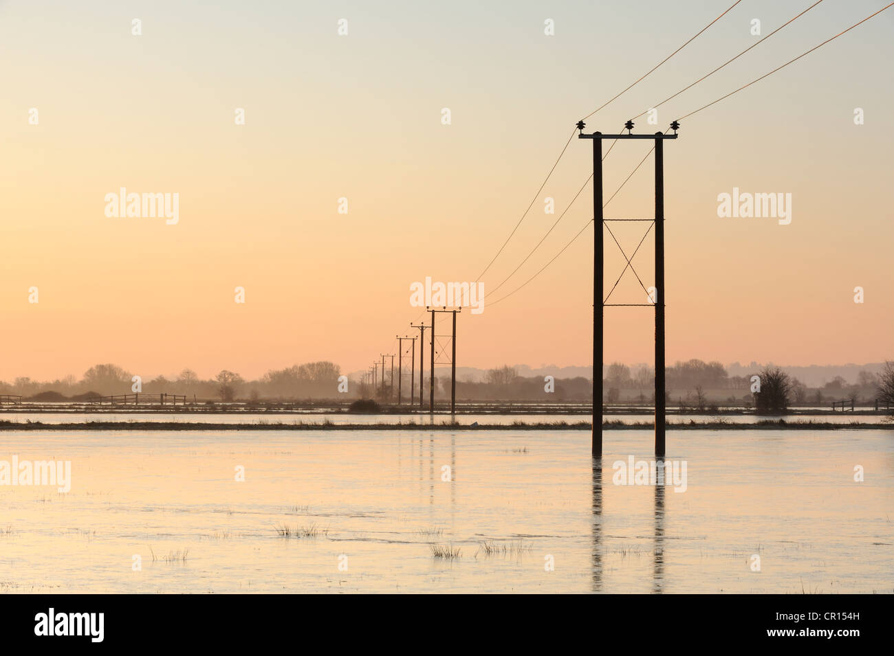 Des poteaux télégraphiques qui traverse les champs inondés sur les niveaux de Somerset, Royaume-Uni. Banque D'Images