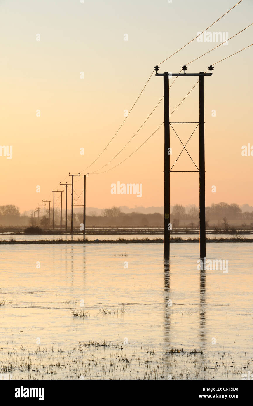 Des poteaux télégraphiques qui traverse les champs inondés sur les niveaux de Somerset, Royaume-Uni. Banque D'Images