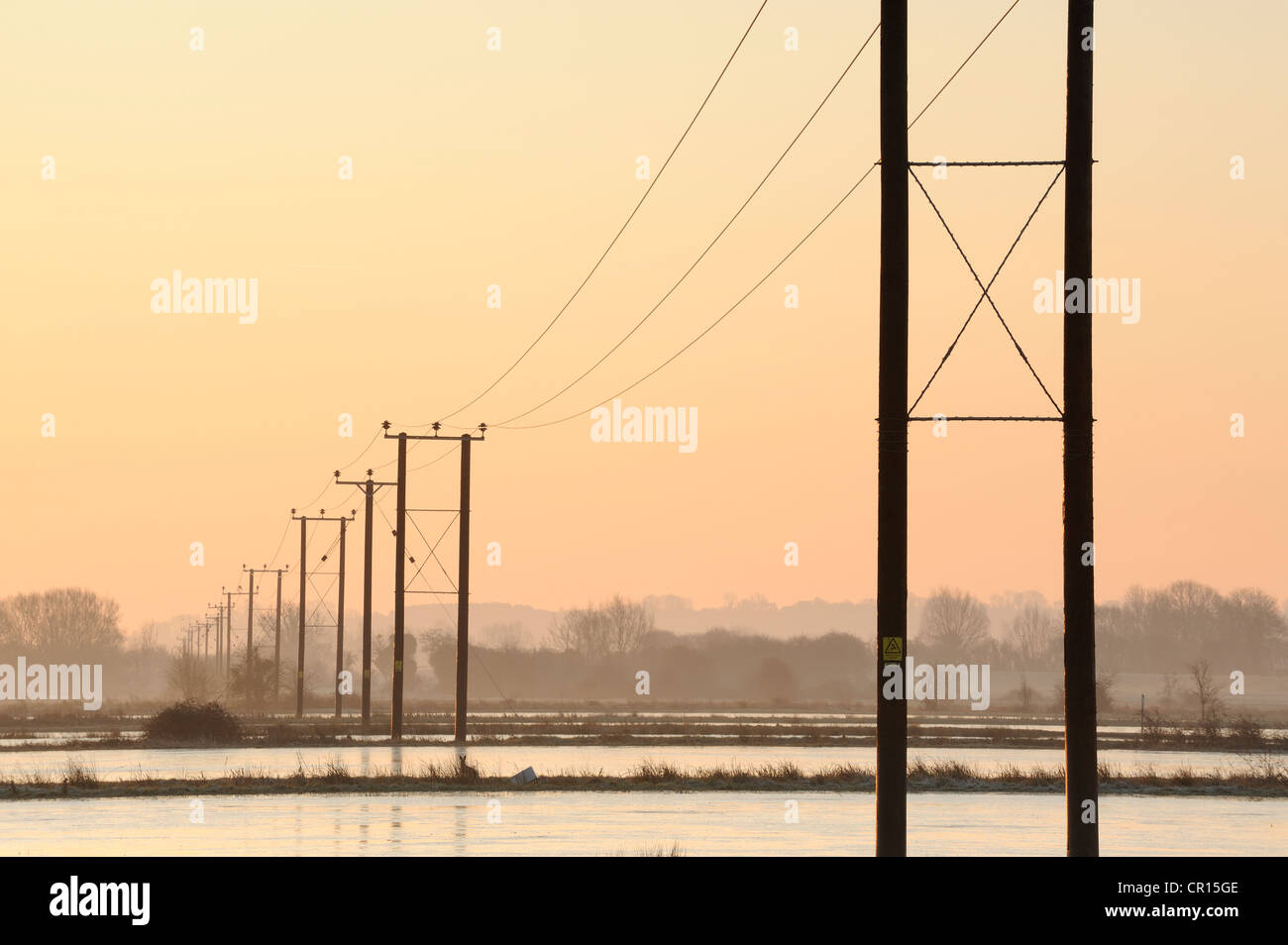 Des poteaux télégraphiques qui traverse les champs inondés sur les niveaux de Somerset, Royaume-Uni. Banque D'Images