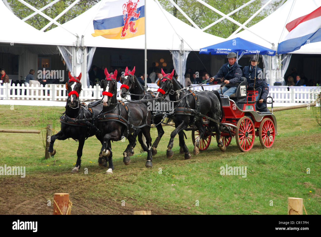 Championnat de courses de chariot à Horst Pays-Bas Banque D'Images