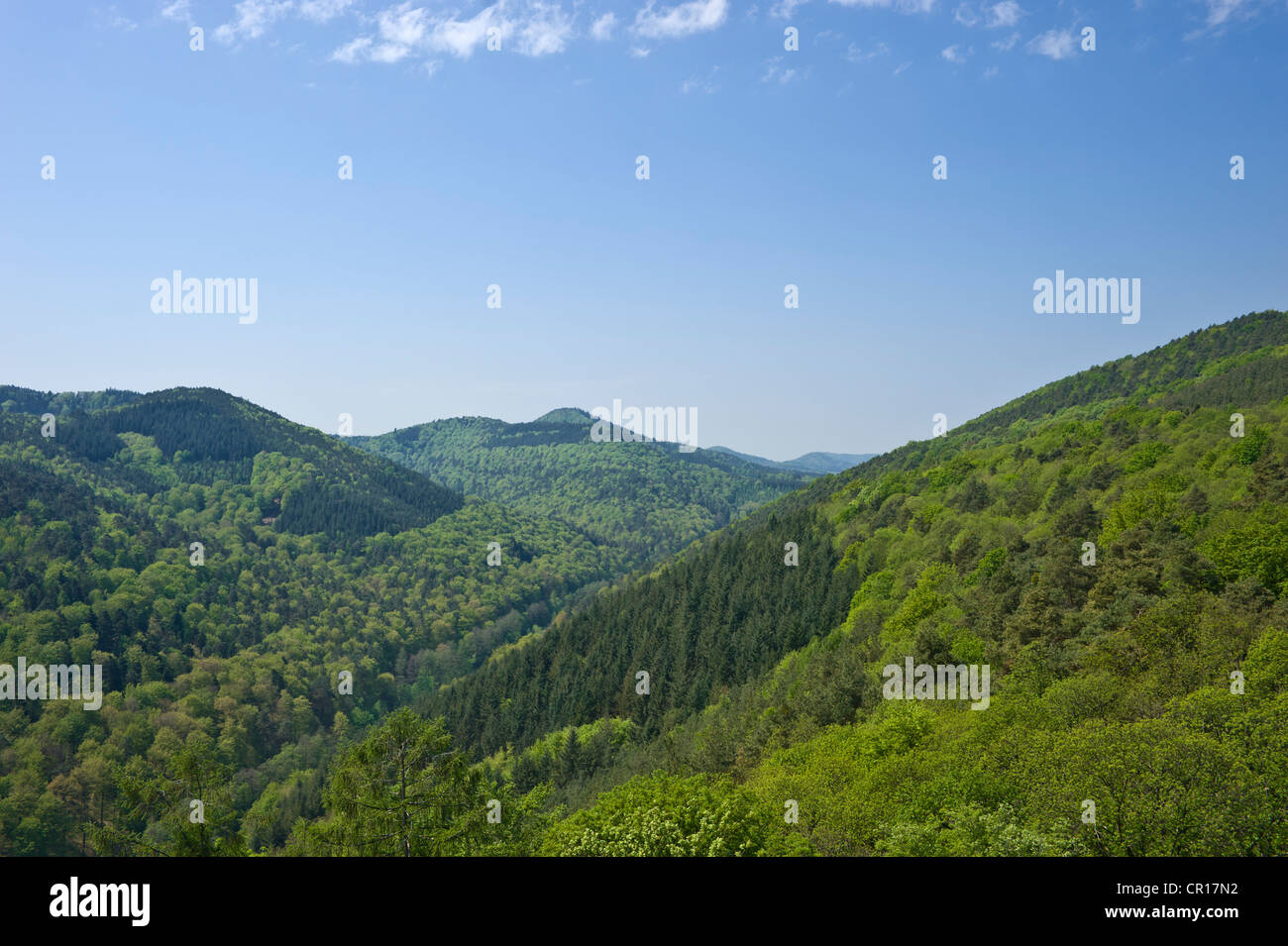 Avis de Burg Landeck castle sur le Pfaelzerwald, Forêt du Palatinat, Klingenmuenster, Deutsche Weinstrasse, Route des Vins allemande Banque D'Images