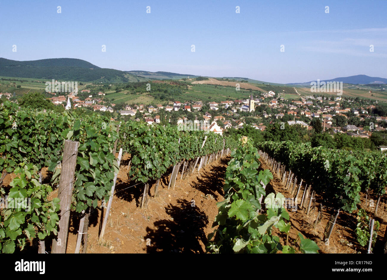 La Hongrie, le tokay (Tokaj), Mad village Banque D'Images