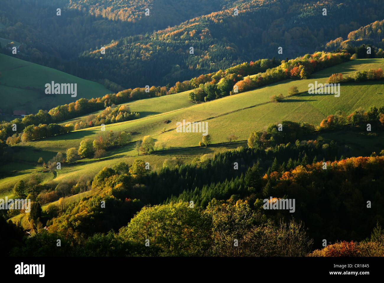 Paysage d'automne près de Saint-Pierre dans la Forêt-Noire, Bade-Wurtemberg, Allemagne, Europe Banque D'Images