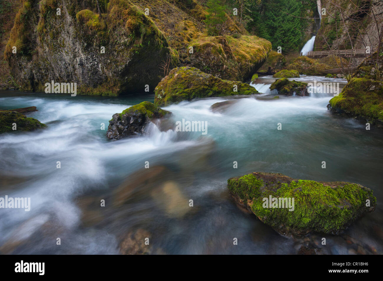 USA (Oregon), comté de Multnomah Falls, Wachlella sur Tanner Creek Banque D'Images