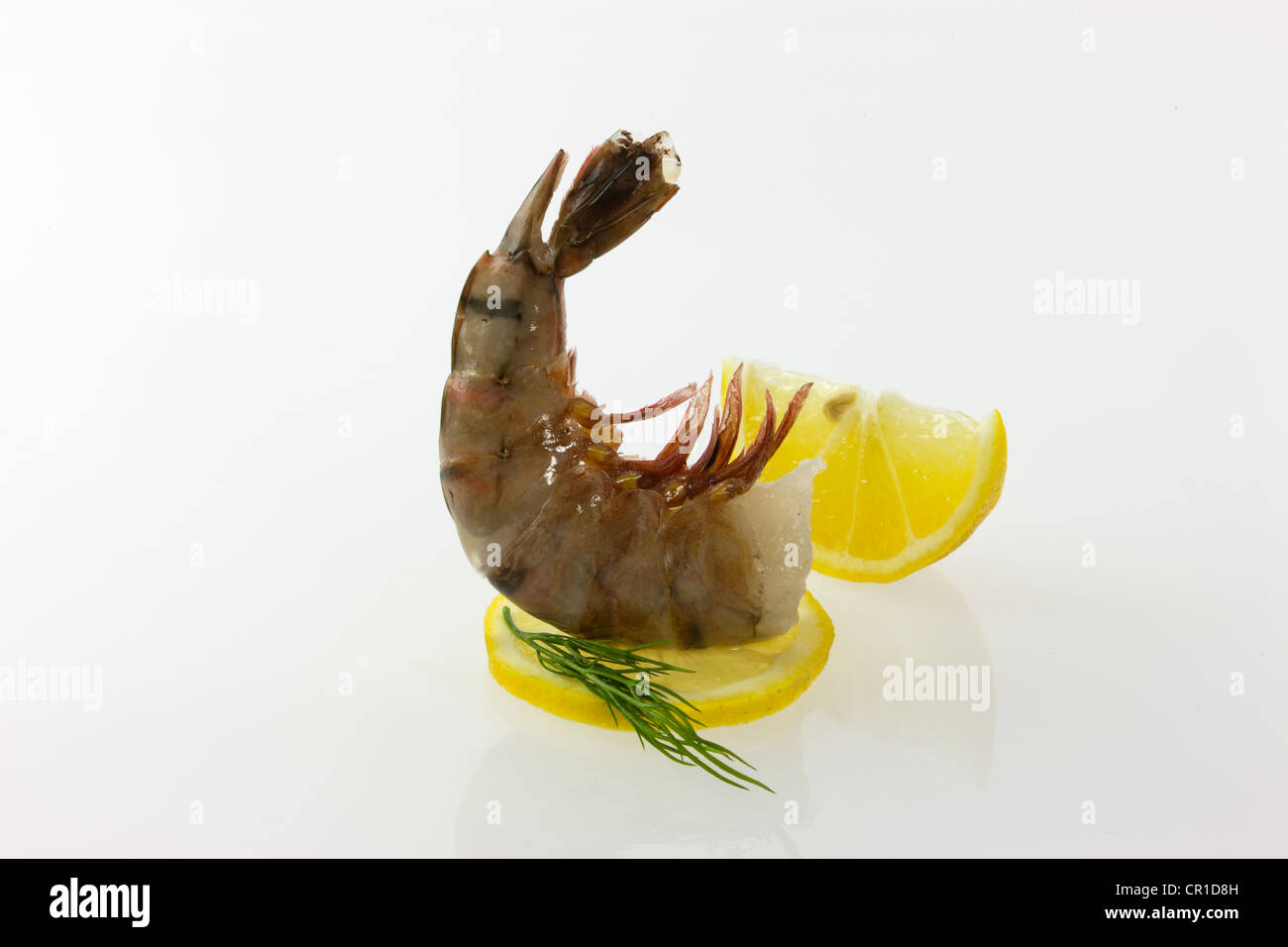 Noir Brut tigrée (Penaeus monodon), la crevette sans tête avec citron et aneth prête pour la préparation Banque D'Images