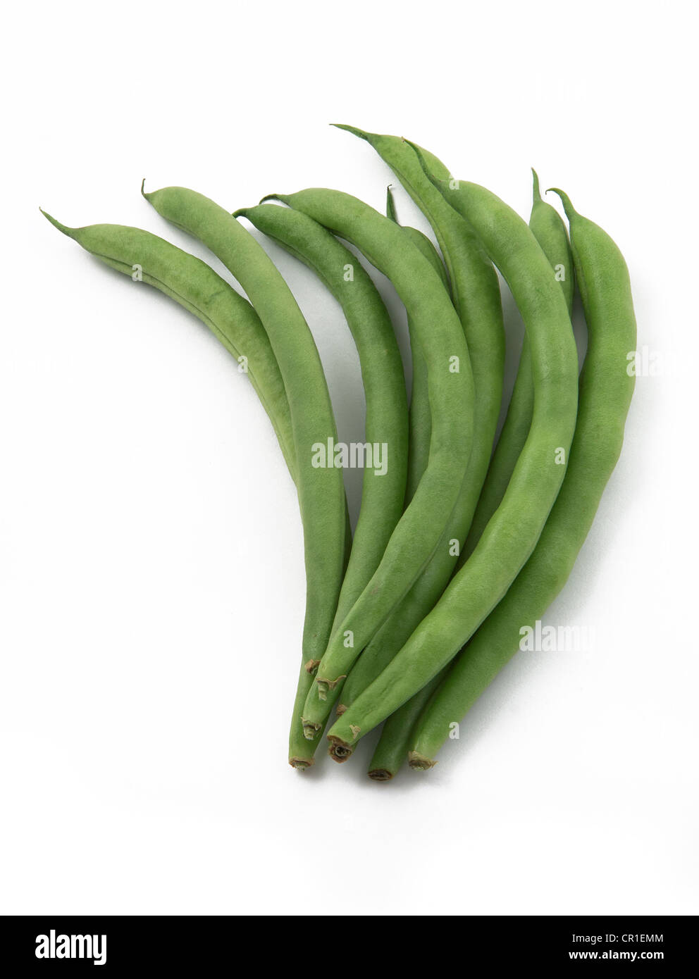 Haricots verts frais sur un fond blanc Banque D'Images