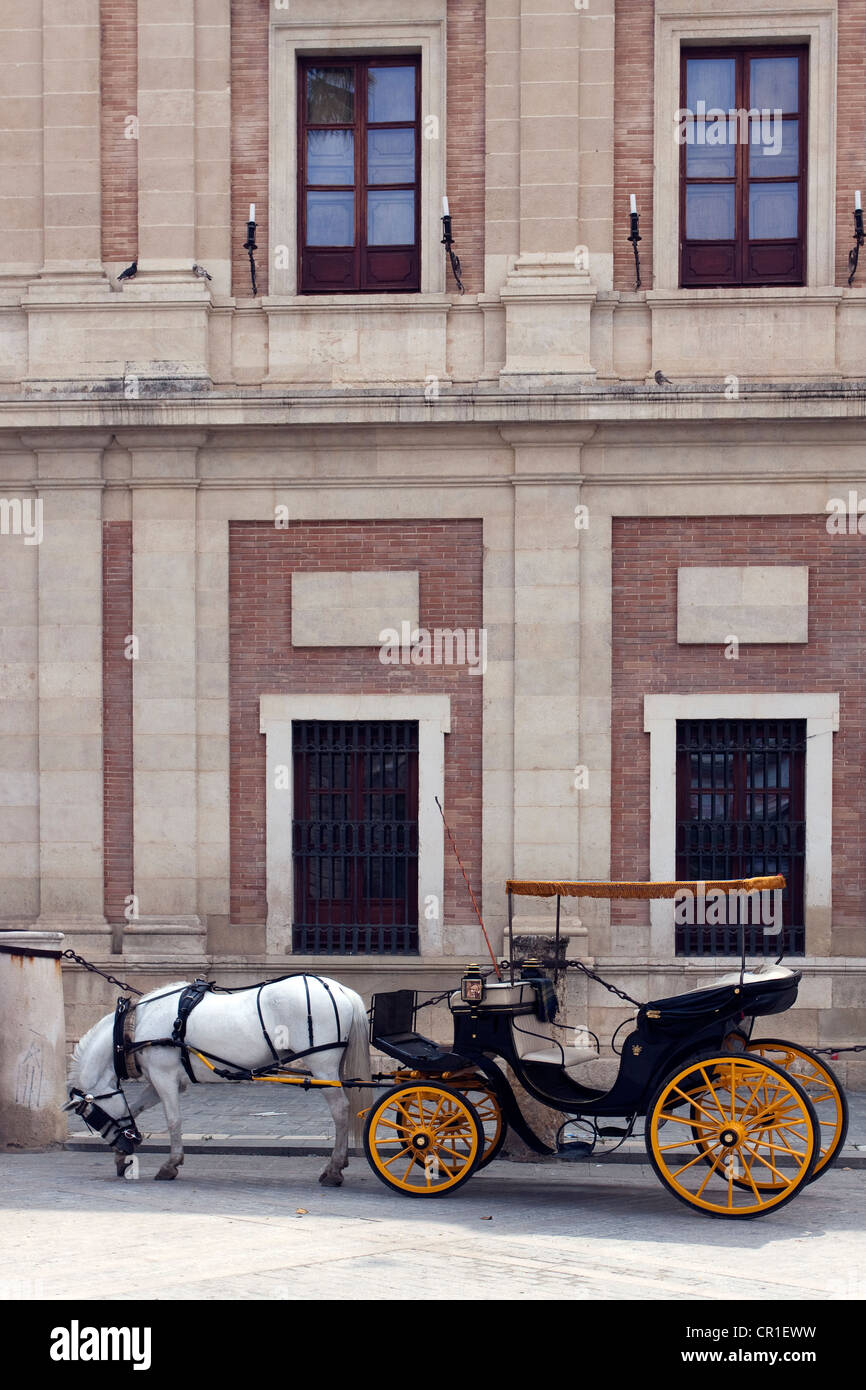 Transport pour les touristes, Séville, Andalousie, Espagne, Europe Banque D'Images