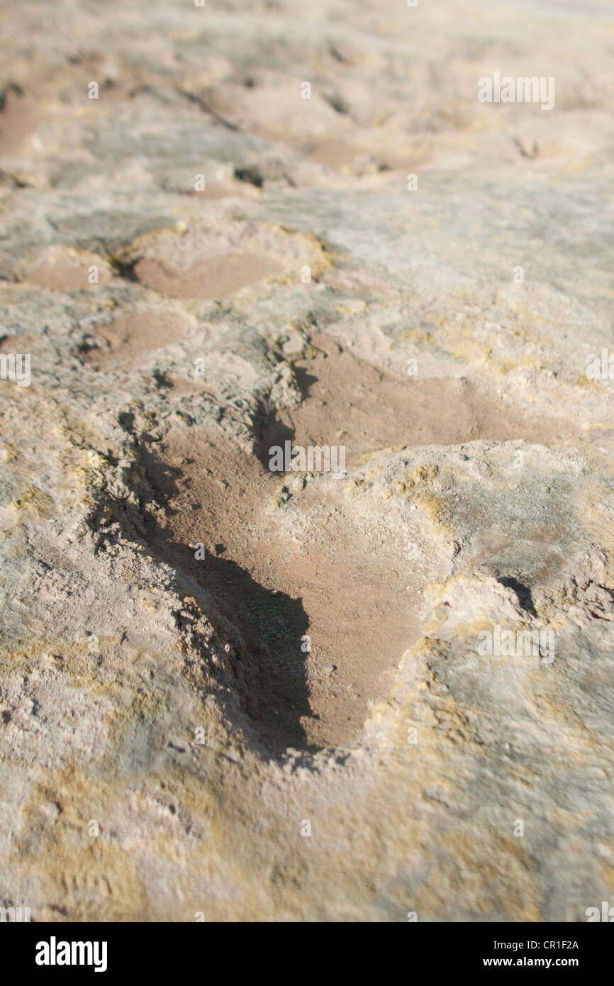 Fumeroles dans le cratère du volcan de Nisyros active sur l'île grecque de Nisyros.. Banque D'Images