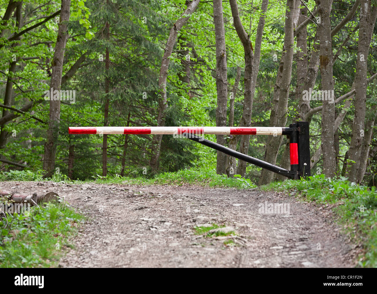 La barrière, le blocage de la forêt Banque D'Images
