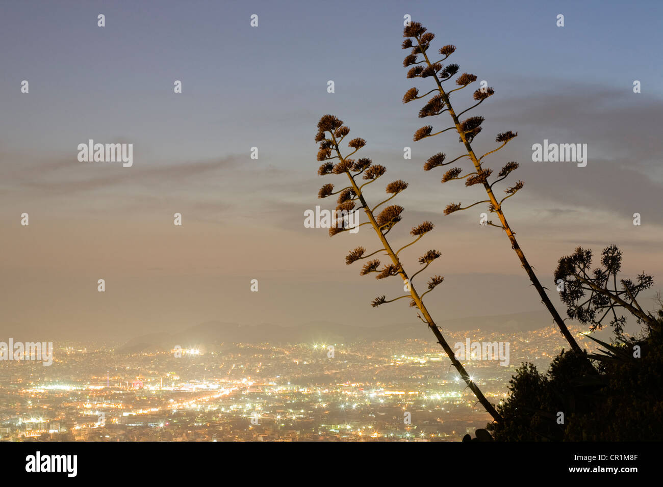 Grèce, Athènes, Attique, vue sur la ville depuis le mont Lycabette, Agave americana dans l'avant-plan Banque D'Images