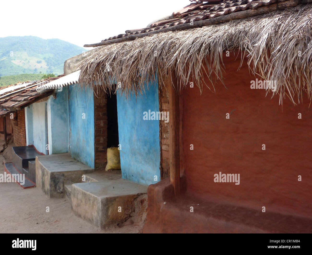 Des huttes au toit de chaume dans un village tribal dans l'Orissa, Inde Banque D'Images