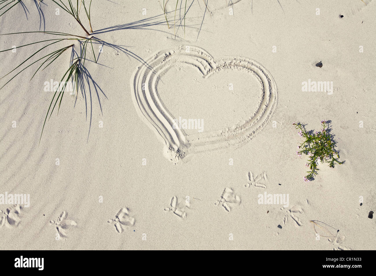 Le symbole de coeur dans le sable avec l'argenté tracé sur la plage, Bornholm, Danemark, Europe Banque D'Images