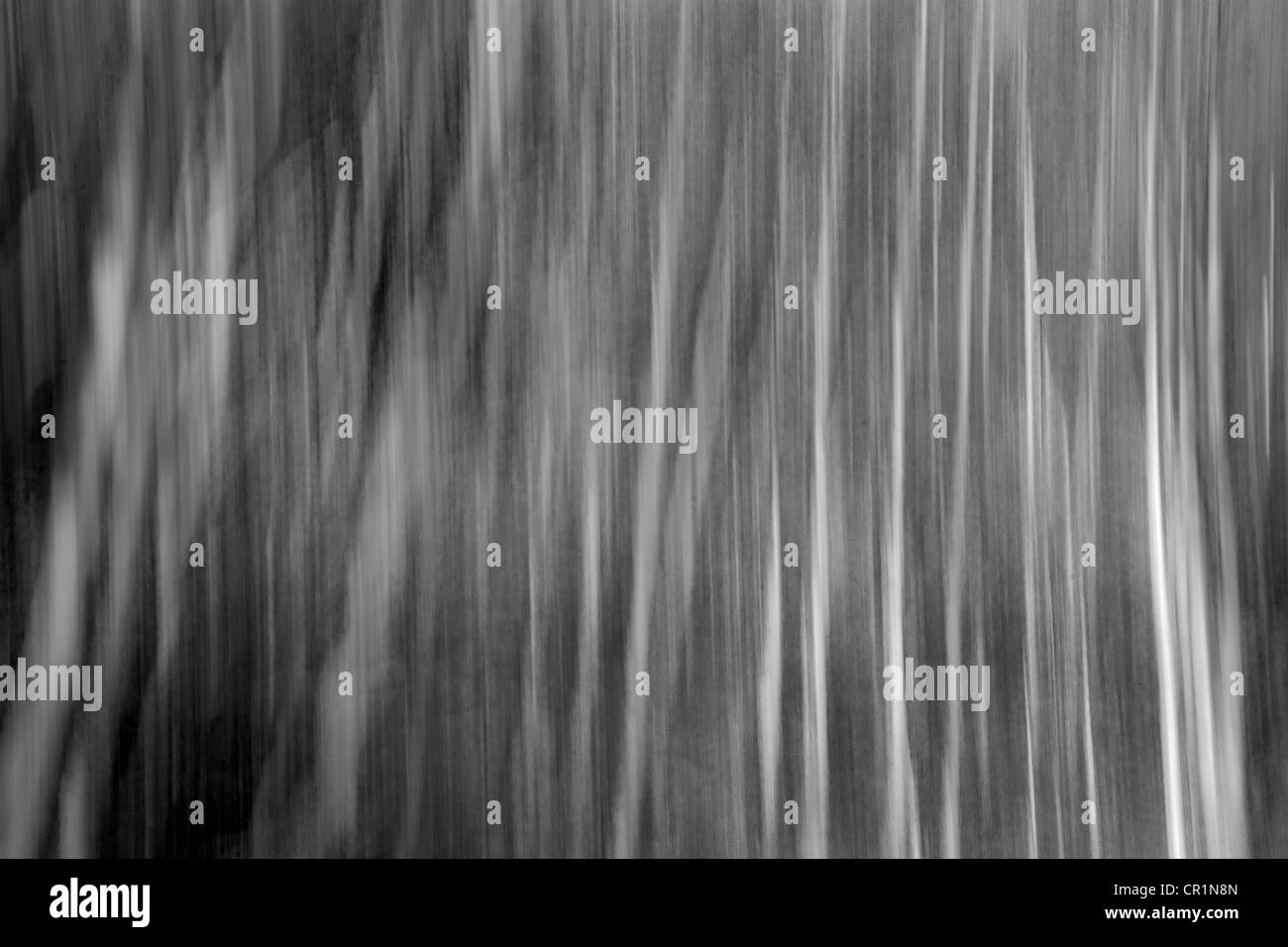 Résumé photo d'une forêt de montagne, noir et blanc, près de l'Oetscher mountain, Autriche Banque D'Images