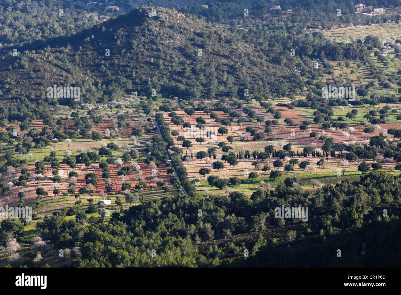 Vue du Puig de San Salvador, Felanitx, Majorque, Îles Baléares, Espagne, Europe Banque D'Images